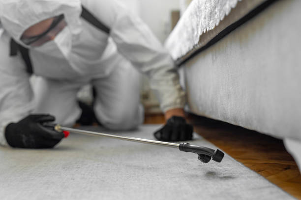 Professional Pest Control technician working in White Sulphur Springs, WV