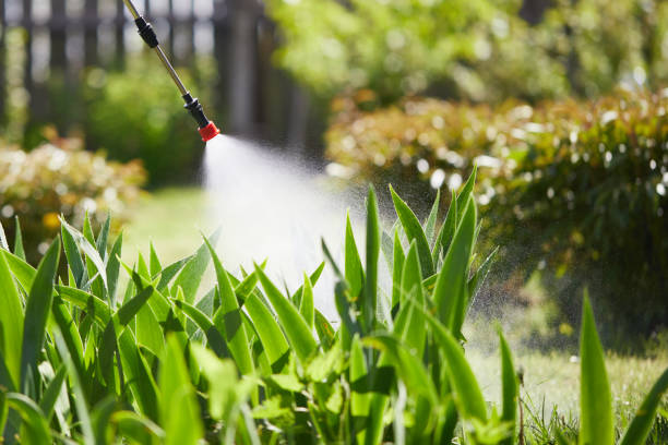 24/7 Emergency Mosquito Control experts in White Sulphur Springs, WV