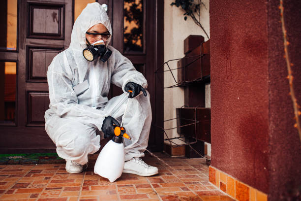 Reliable Mosquito Control contractor in White Sulphur Springs, WV by Nex Pest Control