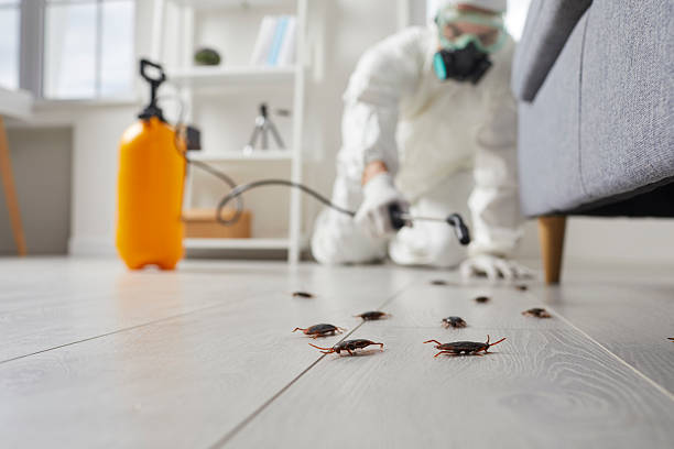 Trusted Rodent Control service in White Sulphur Springs, WV - Nex Pest Control