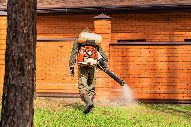 Trusted Ant Control service in White Sulphur Springs, WV - Nex Pest Control